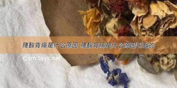 腰酸背痛是什么原因 腰酸背痛是什么原因引起的