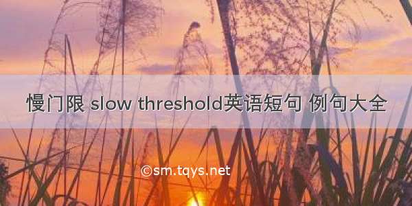 慢门限 slow threshold英语短句 例句大全