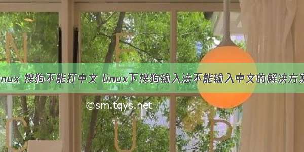 linux 搜狗不能打中文 linux下搜狗输入法不能输入中文的解决方案