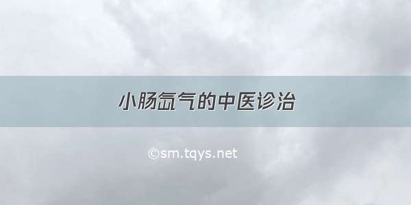 小肠氙气的中医诊治