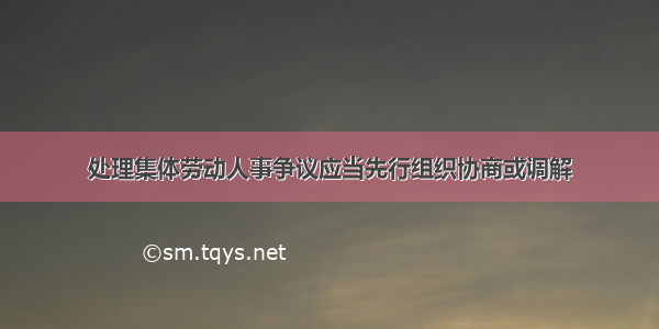 处理集体劳动人事争议应当先行组织协商或调解