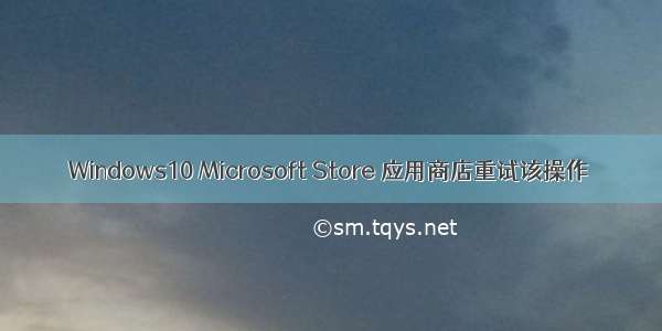 Windows10 Microsoft Store 应用商店重试该操作