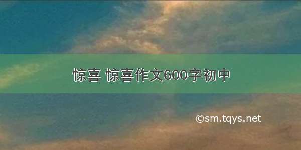 惊喜 惊喜作文600字初中