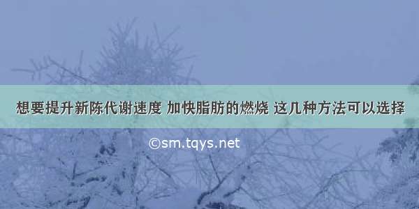 想要提升新陈代谢速度 加快脂肪的燃烧 这几种方法可以选择