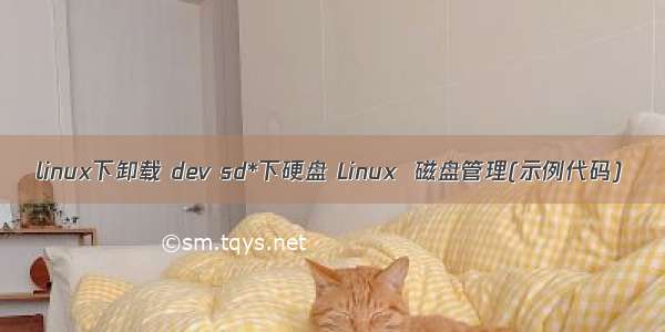 linux下卸载 dev sd*下硬盘 Linux  磁盘管理(示例代码)