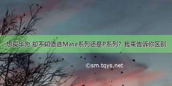 想买华为 却不知道选Mate系列还是P系列？我来告诉你区别