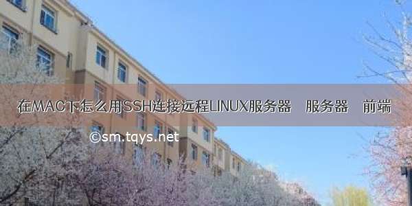 在MAC下怎么用SSH连接远程LINUX服务器 – 服务器 – 前端