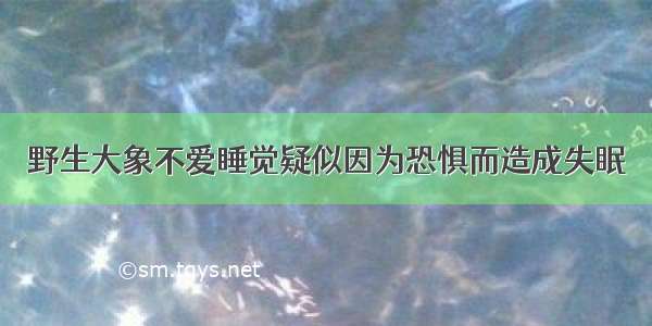 野生大象不爱睡觉疑似因为恐惧而造成失眠