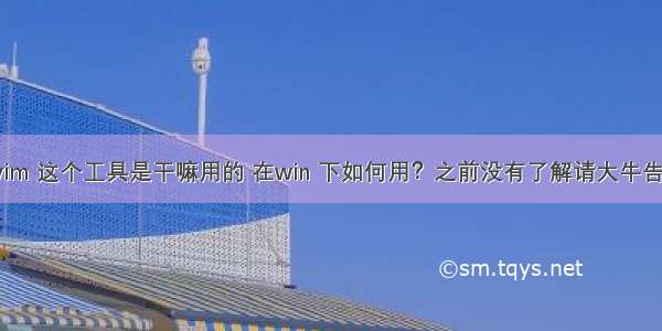 gvim 这个工具是干嘛用的 在win 下如何用？之前没有了解请大牛告之