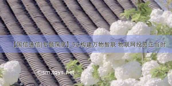 【国信通信|专题深度】5G构建万物智联 物联网投资正当时