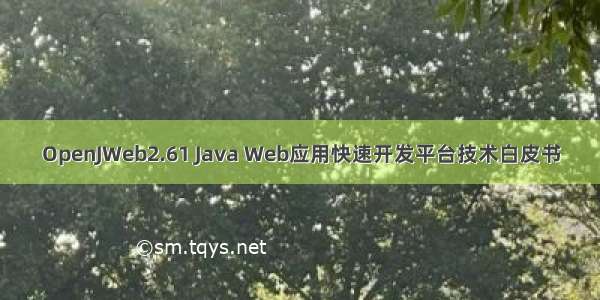 OpenJWeb2.61 Java Web应用快速开发平台技术白皮书