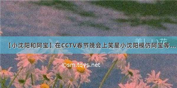 【小沈阳和阿宝】在CCTV春节晚会上笑星小沈阳模仿阿宝等...