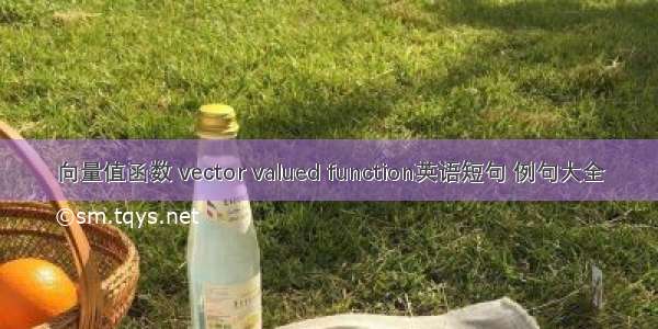 向量值函数 vector valued function英语短句 例句大全