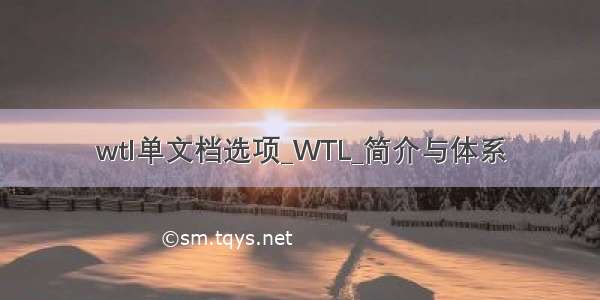 wtl单文档选项_WTL_简介与体系