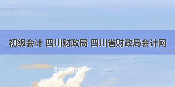 初级会计 四川财政局 四川省财政局会计网