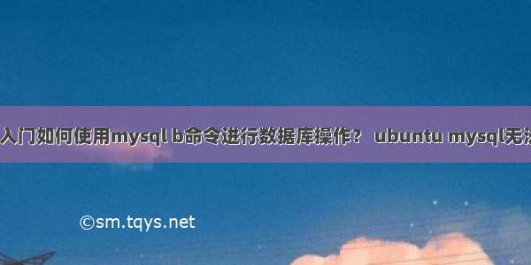 MySQL基础入门如何使用mysql b命令进行数据库操作？ ubuntu mysql无法启动服务器