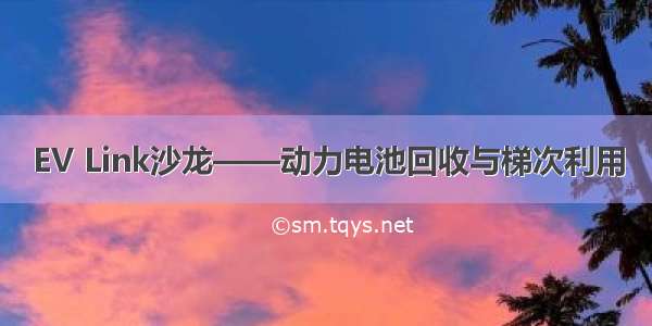 EV Link沙龙——动力电池回收与梯次利用