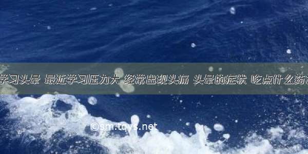 学习头晕 最近学习压力大 经常出现头痛 头晕的症状 吃点什么药？