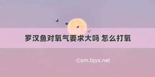 罗汉鱼对氧气要求大吗 怎么打氧