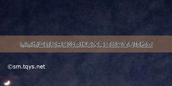 市市场监管局开展公祭伏羲大典食品安全专项检查