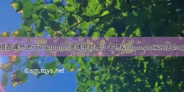 一学校生物兴趣小组在课外进行了&ldquo;池塘中的微小生物&rdquo;的探究活动在显微镜的视野中 他