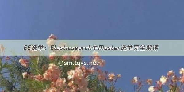 ES选举：Elasticsearch中Master选举完全解读