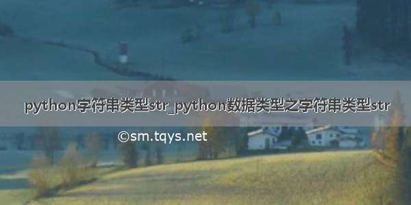 python字符串类型str_python数据类型之字符串类型str