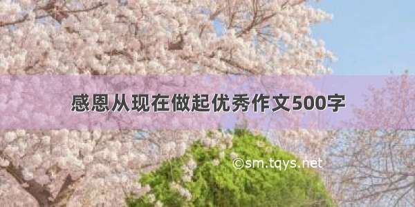 感恩从现在做起优秀作文500字