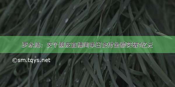 罗永浩：交个朋友直播间单日支付金额突破1亿元