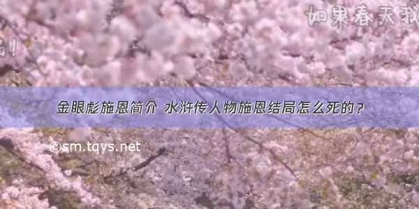 金眼彪施恩简介 水浒传人物施恩结局怎么死的？