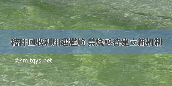 秸秆回收利用遇尴尬 禁烧亟待建立新机制