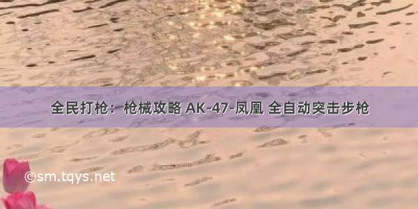 全民打枪：枪械攻略 AK-47-凤凰 全自动突击步枪