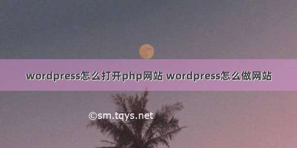 wordpress怎么打开php网站 wordpress怎么做网站