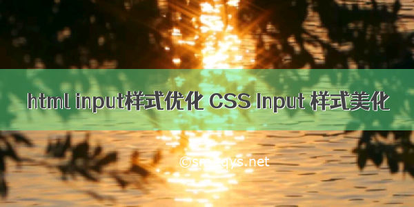 html input样式优化 CSS Input 样式美化