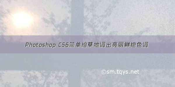 Photoshop CS6简单给草地调出亮丽鲜艳色调