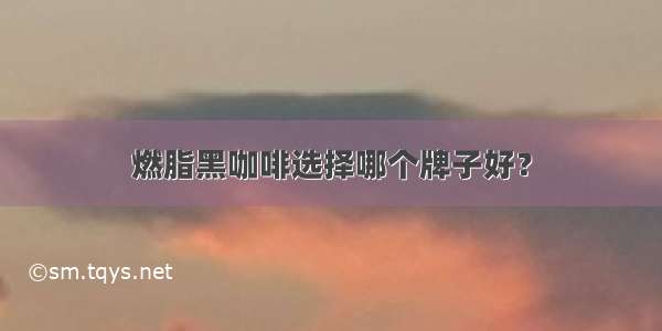 燃脂黑咖啡选择哪个牌子好？