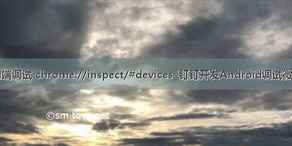 移动端调试 chrome://inspect/#devices  钉钉开发Android调试微应用