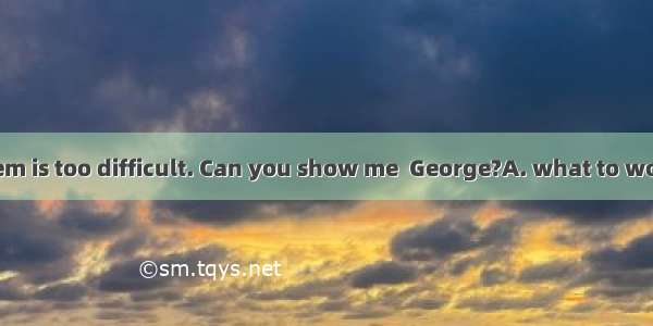 This math problem is too difficult. Can you show me  George?A. what to work outB. to work