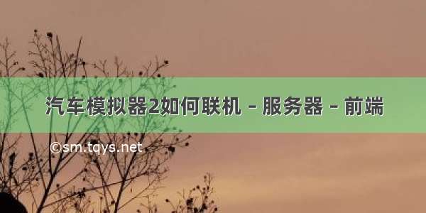 汽车模拟器2如何联机 – 服务器 – 前端