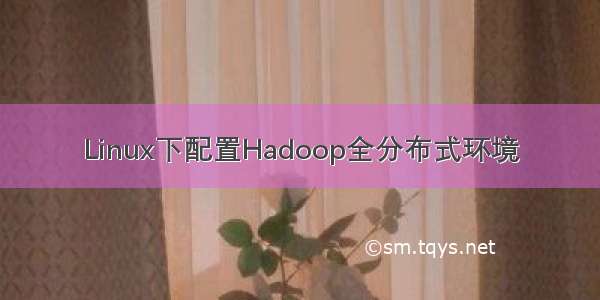 Linux下配置Hadoop全分布式环境