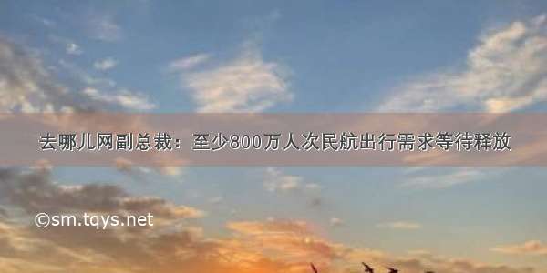 去哪儿网副总裁：至少800万人次民航出行需求等待释放