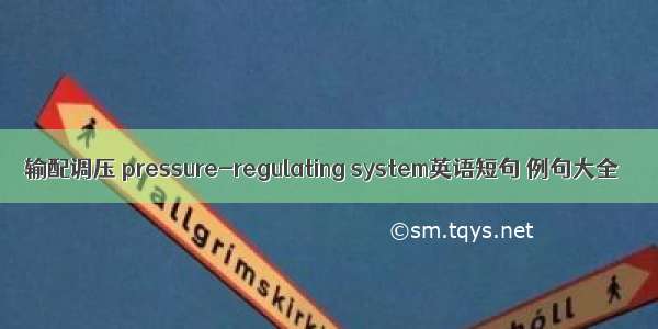 输配调压 pressure-regulating system英语短句 例句大全