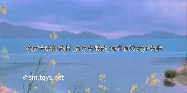 治疗失眠的药枕_治疗失眠药_怎样有效治疗失眠