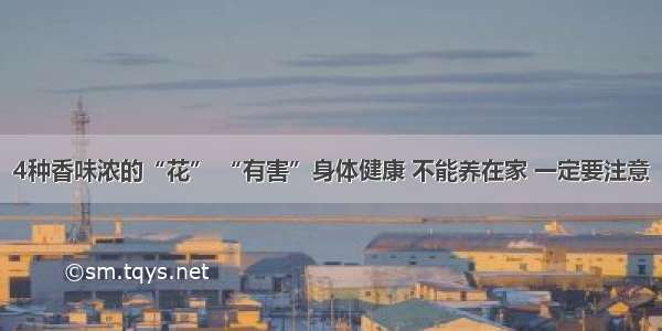 4种香味浓的“花” “有害”身体健康 不能养在家 一定要注意