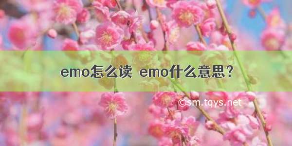 emo怎么读  emo什么意思？