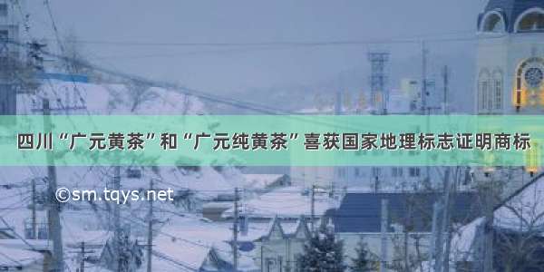 四川“广元黄茶”和“广元纯黄茶”喜获国家地理标志证明商标