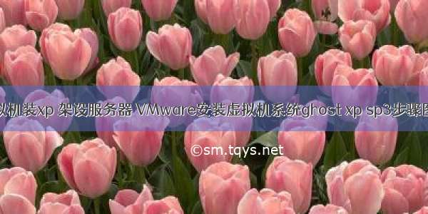 虚拟机装xp 架设服务器 VMware安装虚拟机系统ghost xp sp3步骤图解