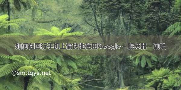 如何在国行手机上愉快地使用Google – 服务器 – 前端