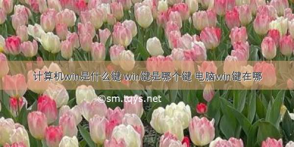 计算机win是什么键 win键是哪个键 电脑win键在哪