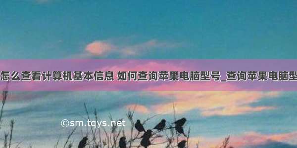 苹果笔记本怎么查看计算机基本信息 如何查询苹果电脑型号_查询苹果电脑型号的方法...